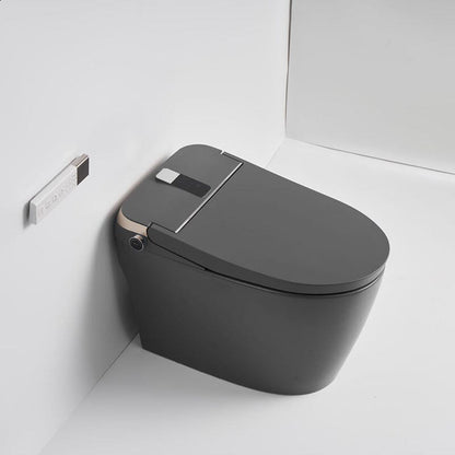 Elongated One-Piece Floor Mounted Smart Toilet with Remote Control and Automatic Cover