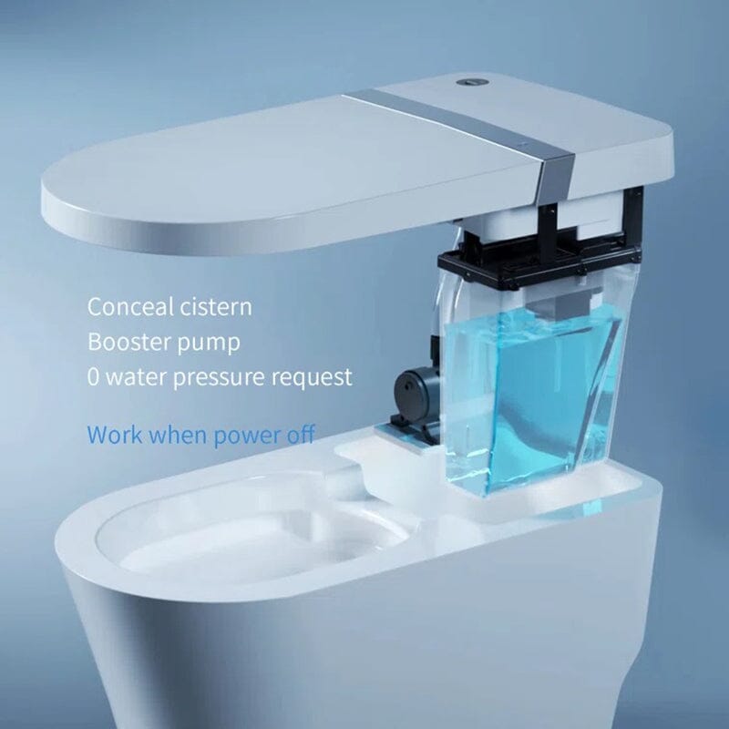 Smart Toilet with Auto-flush, Warm Water, Air Drying Function, Heated Seat, Remote Control