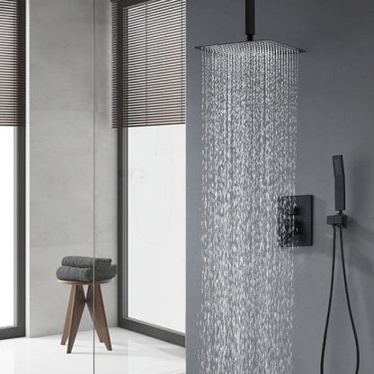 Shower System 2-Spray Patterns Dual Shower Heads with 10 in. Rain Ceiling Mount