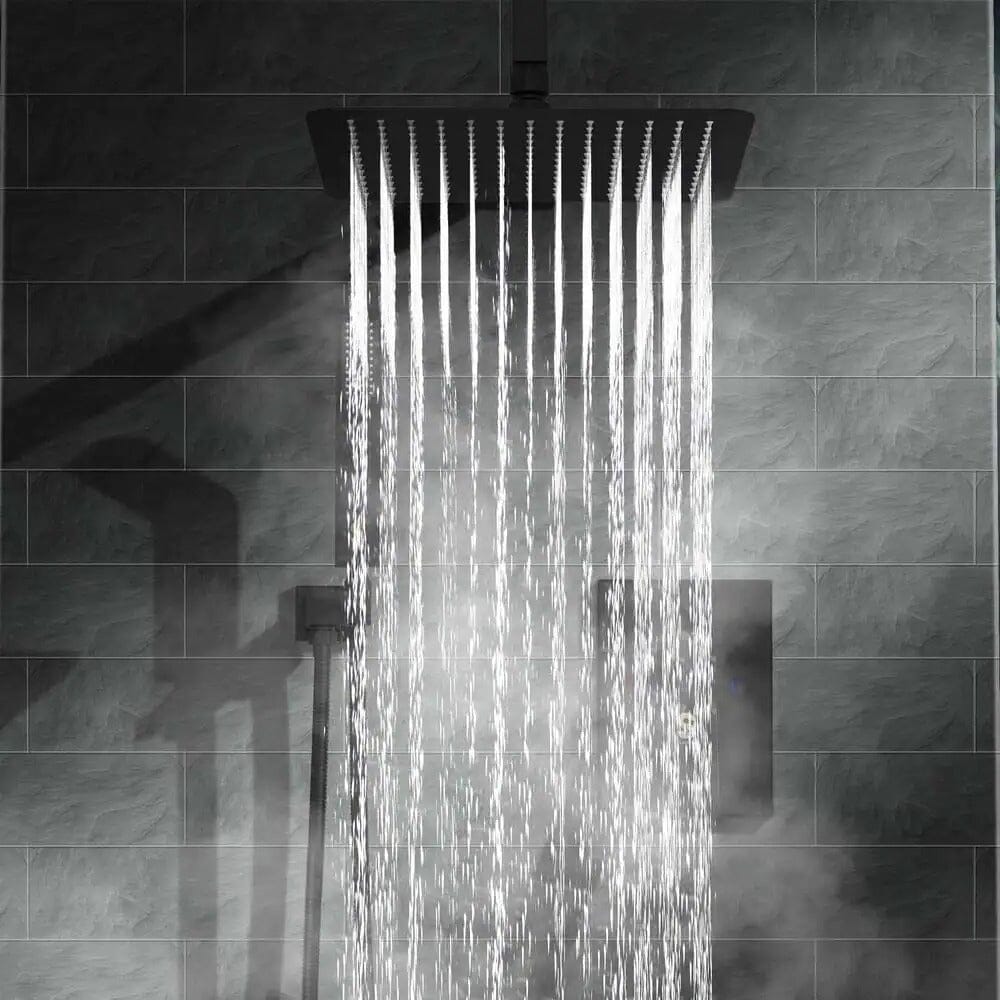 Shower System 2-Spray Patterns Dual Shower Heads with 10 in. Rain Ceiling Mount