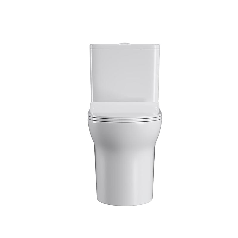 Dual Flush Elongated One Piece Toilet with Soft Close Seat Cover High-Efficiency Flush