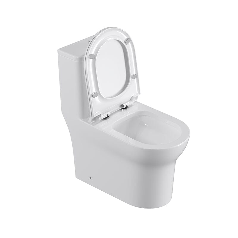 Dual Flush Elongated One Piece Toilet with Soft Close Seat Cover High-Efficiency Flush